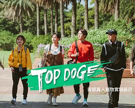 黑料吃瓜《TOP DOG》免费在线观看