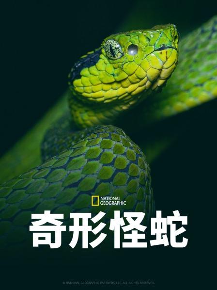 黑料吃瓜不打烊《奇形怪蛇》免费在线观看